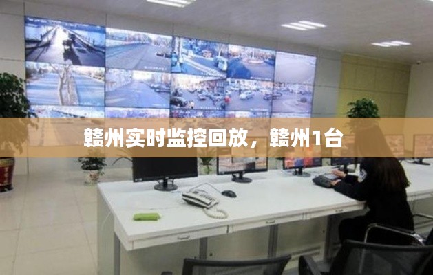 赣州实时监控回放，赣州1台 