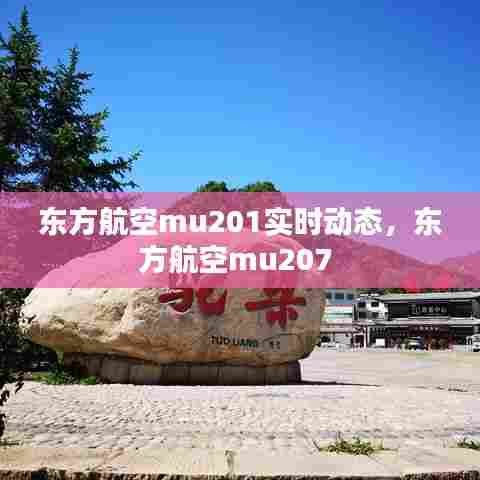 东方航空mu201实时动态，东方航空mu207 
