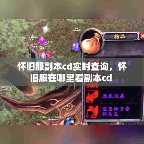 怀旧服副本cd实时查询，怀旧服在哪里看副本cd 