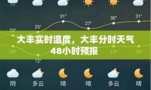 大丰实时温度，大丰分时天气48小时预报 