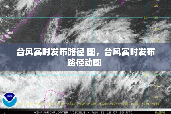 台风实时发布路径 图，台风实时发布路径动图 