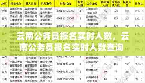 云南公务员报名实时人数，云南公务员报名实时人数查询 