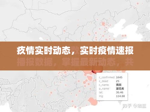 疚情实时动态，实时疫情速报 