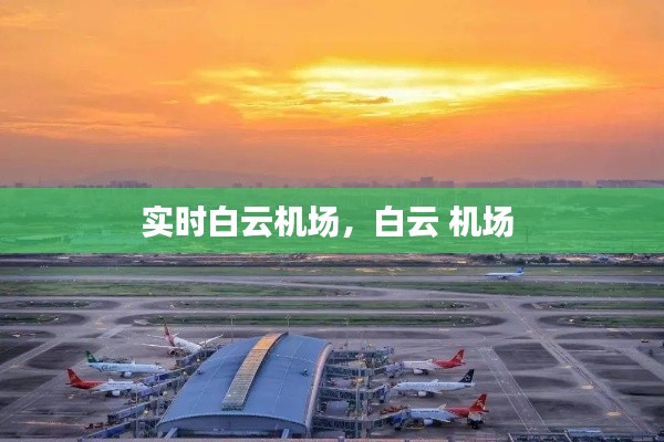 实时白云机场，白云 机场 