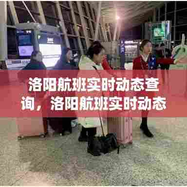 洛阳航班实时动态查询，洛阳航班实时动态查询官网 
