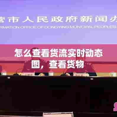 怎么查看货流实时动态图，查看货物 
