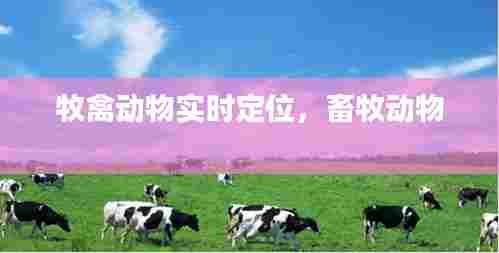 牧禽动物实时定位，畜牧动物 