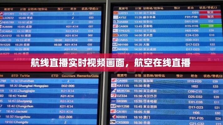 航线直播实时视频画面，航空在线直播 