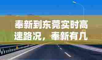 奉新到东莞实时高速路况，奉新有几个高速出口 