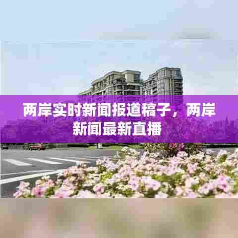 两岸实时新闻报道稿子，两岸新闻最新直播 