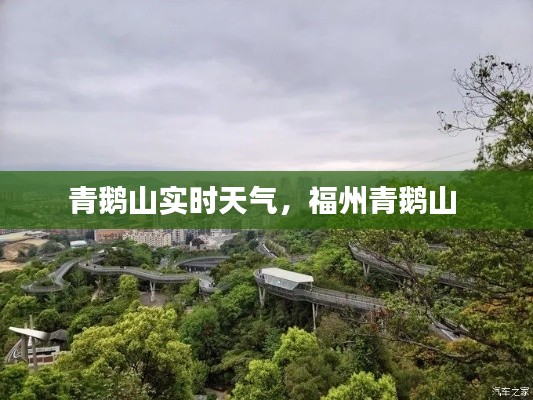 青鹅山实时天气，福州青鹅山 