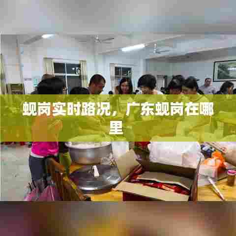 蚬岗实时路况，广东蚬岗在哪里 