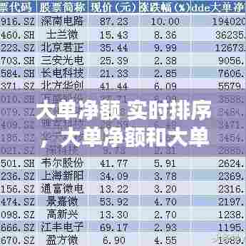 大单净额 实时排序，大单净额和大单净量的区别 