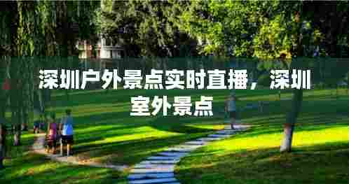 深圳户外景点实时直播，深圳室外景点 