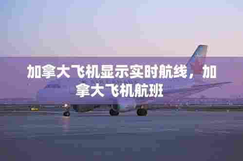 加拿大飞机显示实时航线，加拿大飞机航班 