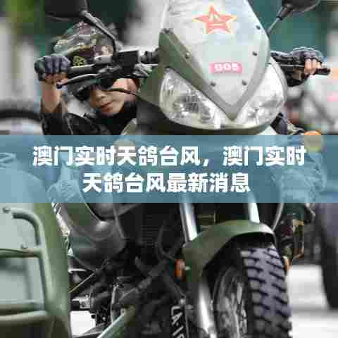 澳门实时天鸽台风，澳门实时天鸽台风最新消息 
