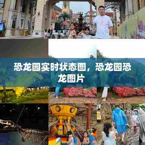 恐龙园实时状态图，恐龙园恐龙图片 