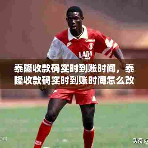 泰隆收款码实时到账时间，泰隆收款码实时到账时间怎么改 