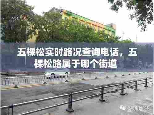 五棵松实时路况查询电话，五棵松路属于哪个街道 