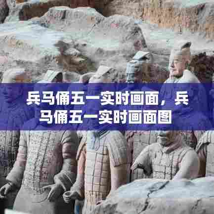 兵马俑五一实时画面，兵马俑五一实时画面图 
