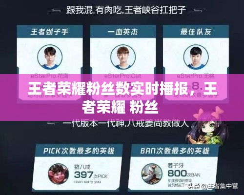 王者荣耀粉丝数实时播报，王者荣耀 粉丝 