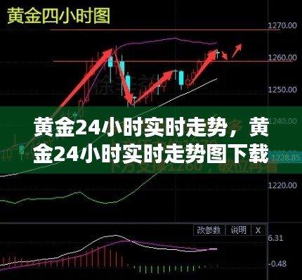 黄金24小时实时走势，黄金24小时实时走势图下载手机版 