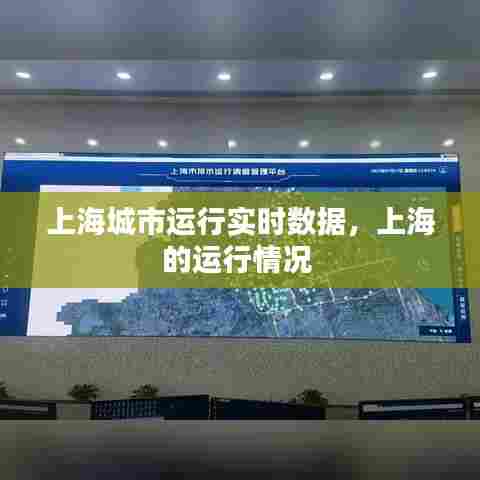 上海城市运行实时数据，上海的运行情况 
