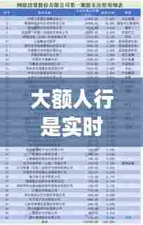 大额人行是实时清算吗，人行大额清算时间 