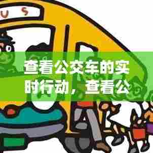 查看公交车的实时行动，查看公交车的实时行动软件 