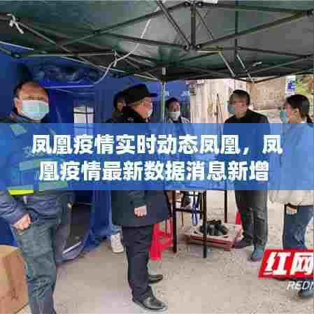 凤凰疫情实时动态凤凰，凤凰疫情最新数据消息新增 
