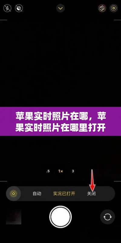 苹果实时照片在哪，苹果实时照片在哪里打开 