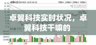 卓翼科技实时状况，卓翼科技干嘛的 