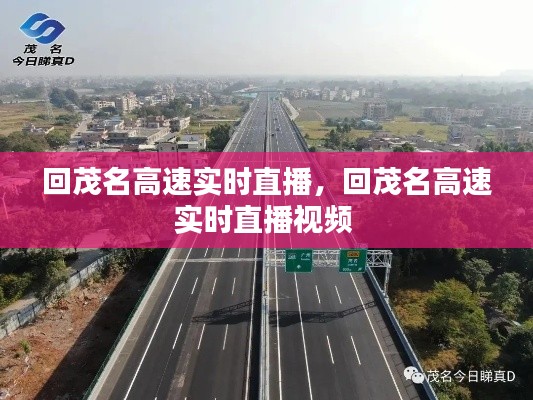 回茂名高速实时直播，回茂名高速实时直播视频 
