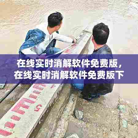 在线实时消解软件免费版，在线实时消解软件免费版下载 