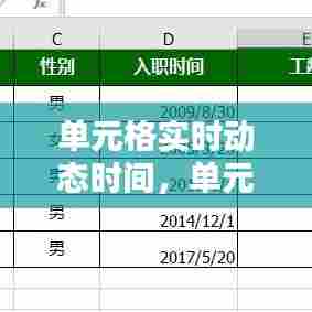 单元格实时动态时间，单元格自动显示时间 