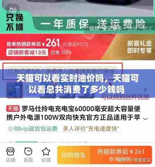 天猫可以看实时油价吗，天猫可以看总共消费了多少钱吗 
