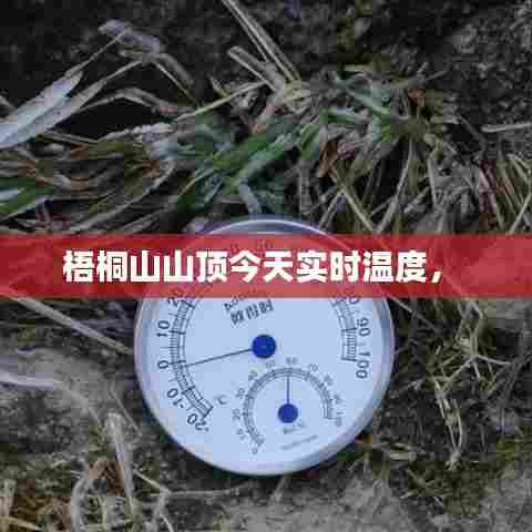 梧桐山山顶今天实时温度， 
