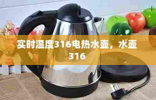 实时温度316电热水壶，水壶 316 