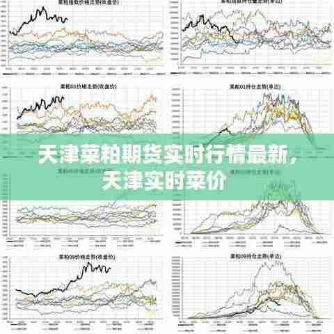 天津菜粕期货实时行情最新，天津实时菜价 