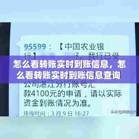 怎么看转账实时到账信息，怎么看转账实时到账信息查询 
