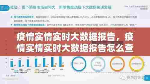 疫情实情实时大数据报告，疫情实情实时大数据报告怎么查 