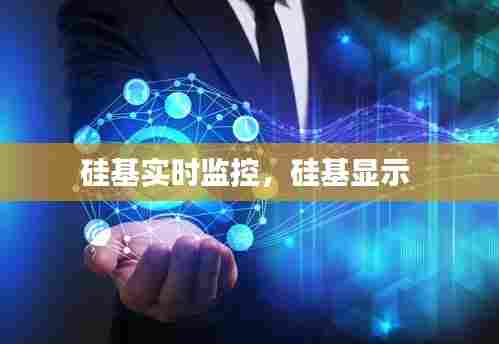 硅基实时监控，硅基显示 