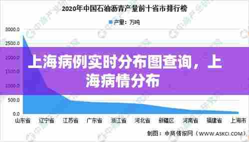 上海病例实时分布图查询，上海病情分布 
