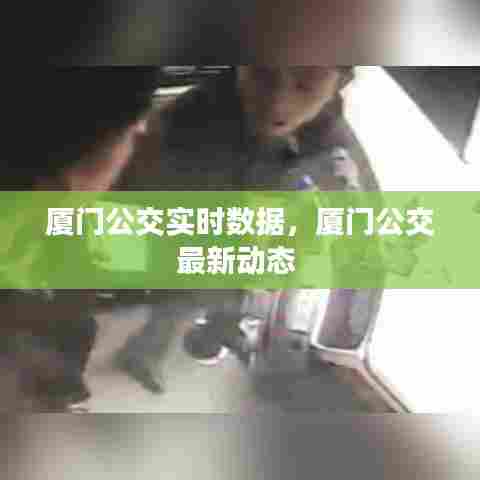 厦门公交实时数据，厦门公交最新动态 