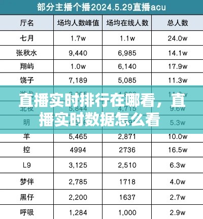 直播实时排行在哪看，直播实时数据怎么看 