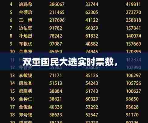 双重国民大选实时票数， 