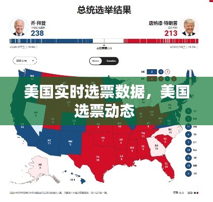 美国实时选票数据，美国选票动态 