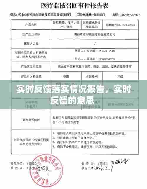 实时反馈落实情况报告，实时反馈的意思 