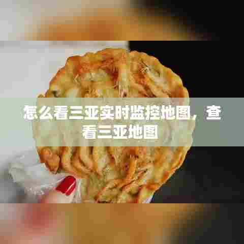 怎么看三亚实时监控地图，查看三亚地图 