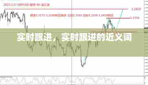 实时跟进，实时跟进的近义词 
